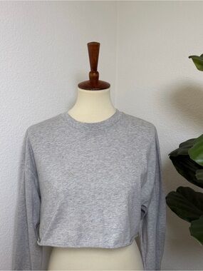 Aritzia TNA Light Gray Long-Sleeve Cropped Tee